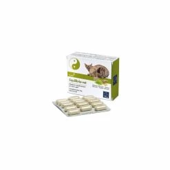 Camon Orme Naturali Equilibria 30 Compresse G883a