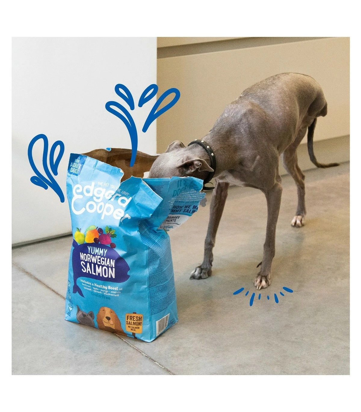 Edgard & Cooper Adult Carne Fresca Di Salmone Norvegese Senza Cereali 2,5 Kg 5 Edgard & Cooper Adult Carne Fresca Di Salmone Norvegese Senza Cereali 2,5 Kg - immagine 3