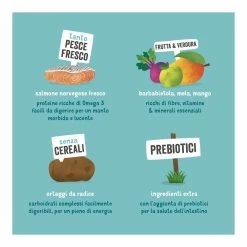 Edgard & Cooper Adult Carne Fresca Di Salmone Norvegese Senza Cereali 2,5 Kg 13 Edgard & Cooper Adult Carne Fresca Di Salmone Norvegese Senza Cereali 2,5 Kg -Prodotti per Cani negozio edgard cooper adult carne fresca di salmone norvegese senza cereali 25 kg 5