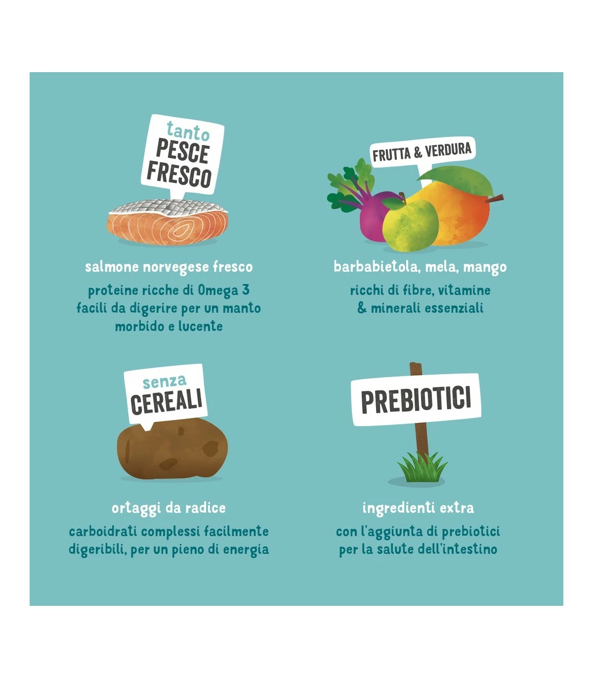 Edgard & Cooper Adult Carne Fresca Di Salmone Norvegese Senza Cereali 2,5 Kg 8 Edgard & Cooper Adult Carne Fresca Di Salmone Norvegese Senza Cereali 2,5 Kg - immagine 6