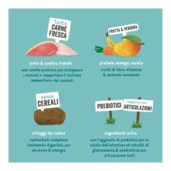 Edgard & Cooper Puppy Carne Fresca Di Anatra E Pollo Allevati A Terra Senza Cereali 12 Kg -Prodotti per Cani negozio edgard cooper puppy carne fresca di anatra e pollo allevati a terra senza cereali 12 kg 6