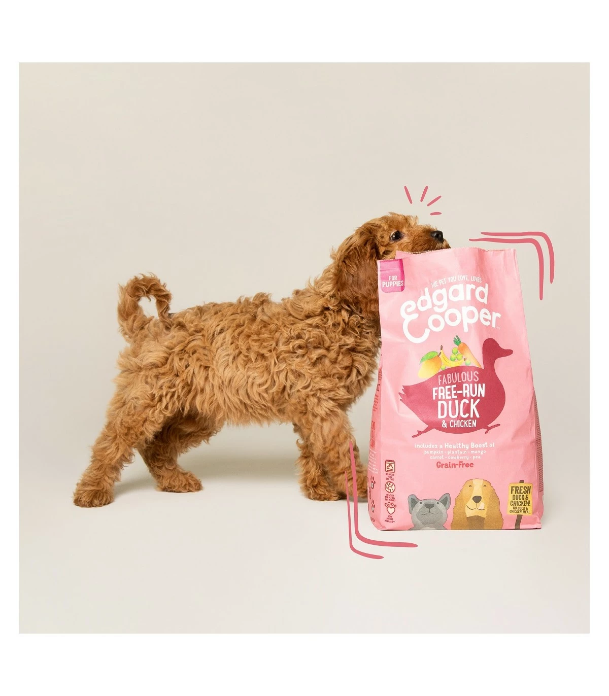 Edgard & Cooper Puppy Carne Fresca Di Anatra E Pollo Allevati A Terra Senza Cereali 7 Kg 11 Edgard & Cooper Puppy Carne Fresca Di Anatra E Pollo Allevati A Terra Senza Cereali 7 Kg - immagine 9