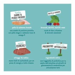 Edgard & Cooper Senior Carne Fresca Di Pollo Allevato A Terra E Salmone Norvegese Senza Cereali 12 Kg -Prodotti per Cani negozio edgard cooper senior carne fresca di pollo allevato a terra e salmone norvegese senza cereali 12 kg 4