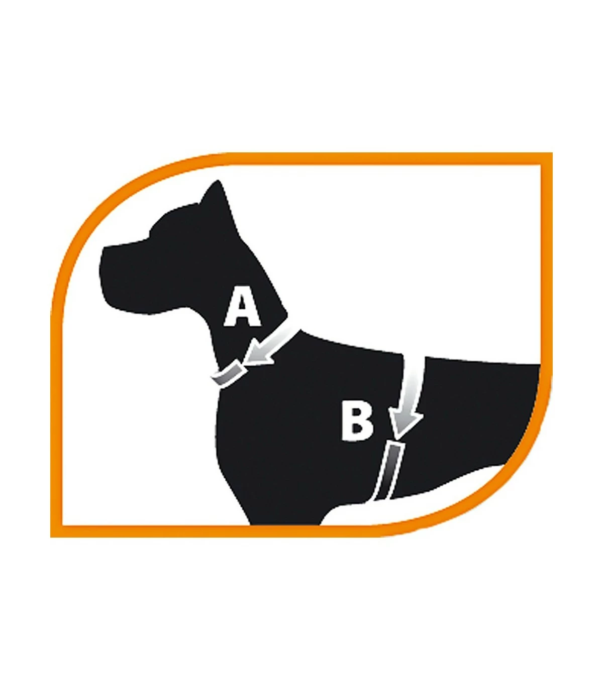 Ferplast Champion P Large Rossa Pettorina 4 Ferplast Champion P Large Rossa Pettorina - immagine 2