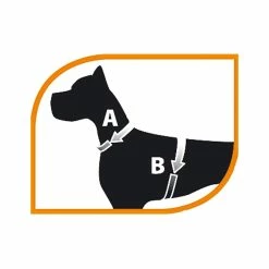 Ferplast Jogging Large Pettorina Con Guinzaglio -Prodotti per Cani negozio ferplast jogging large pettorina con guinzaglio 2