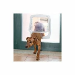 Ferplast Swing 11 Tunnel Bianca Portina -Prodotti per Cani negozio ferplast swing 11 tunnel bianca portina 2