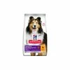 HILL'S Pet Nutrition Hill's Science Plan Cane Adult Sensitive Stomach & Skin Medium Pollo 2,5 Kg
