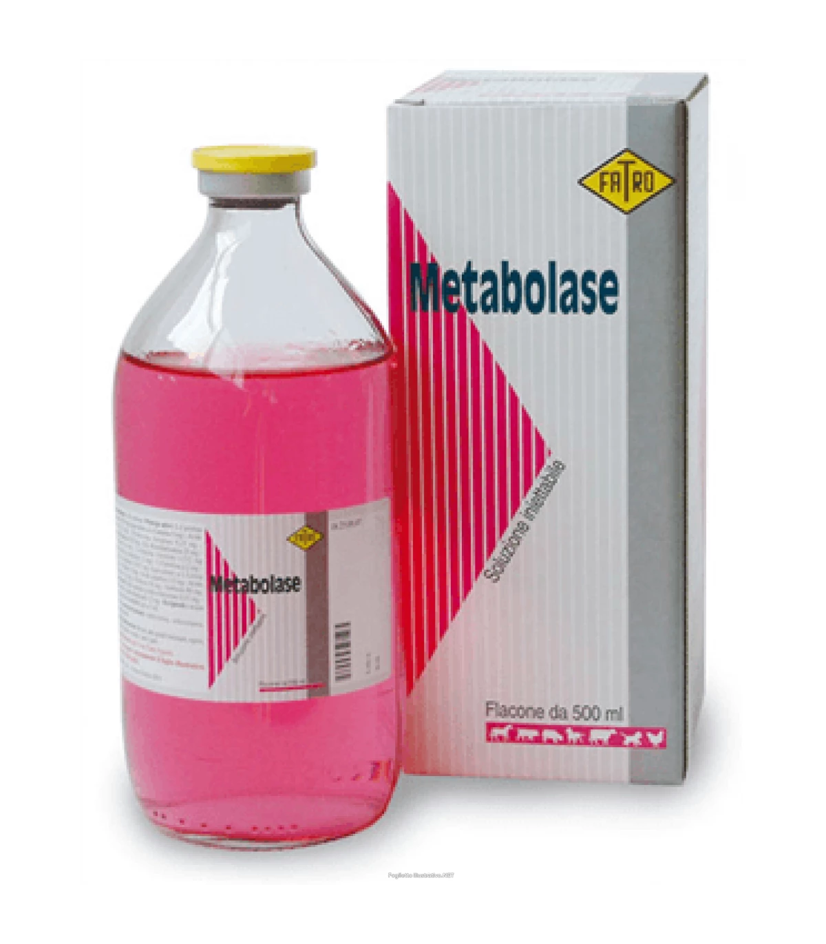 Metabolase Fl 500 Ml 3 Metabolase Fl 500 Ml