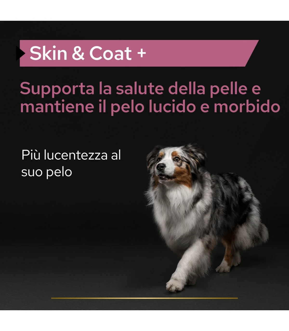 PURINA PRO PLAN Proplan Supplements Skin & Coat Cane 250 Ml 4 PURINA PRO PLAN Proplan Supplements Skin & Coat Cane 250 Ml - immagine 2