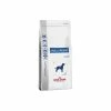 Royal Canin Anallergenic Cane 3 Kg 1 Royal Canin Anallergenic Cane 3 Kg -Prodotti per Cani negozio royal canin anallergenic cane 3 kg