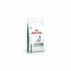 Royal Canin Diabetic Cane 12 Kg