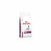 Royal Canin Renal Cane 2 Kg