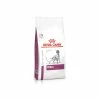 Royal Canin Renal Cane 7 Kg 2 Royal Canin Renal Cane 7 Kg -Prodotti per Cani negozio royal canin renal cane 7 kg