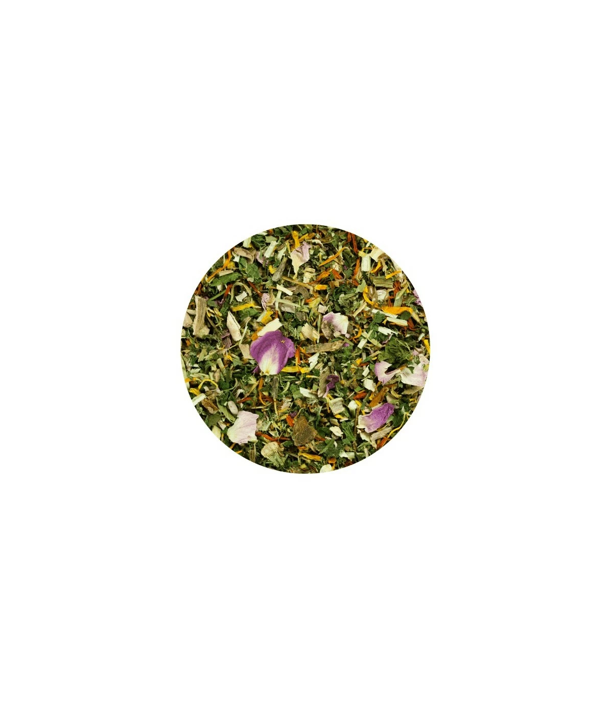 Terra Canis Herbal Articolazioni 100 Gr 4 Terra Canis Herbal Articolazioni 100 Gr - immagine 2